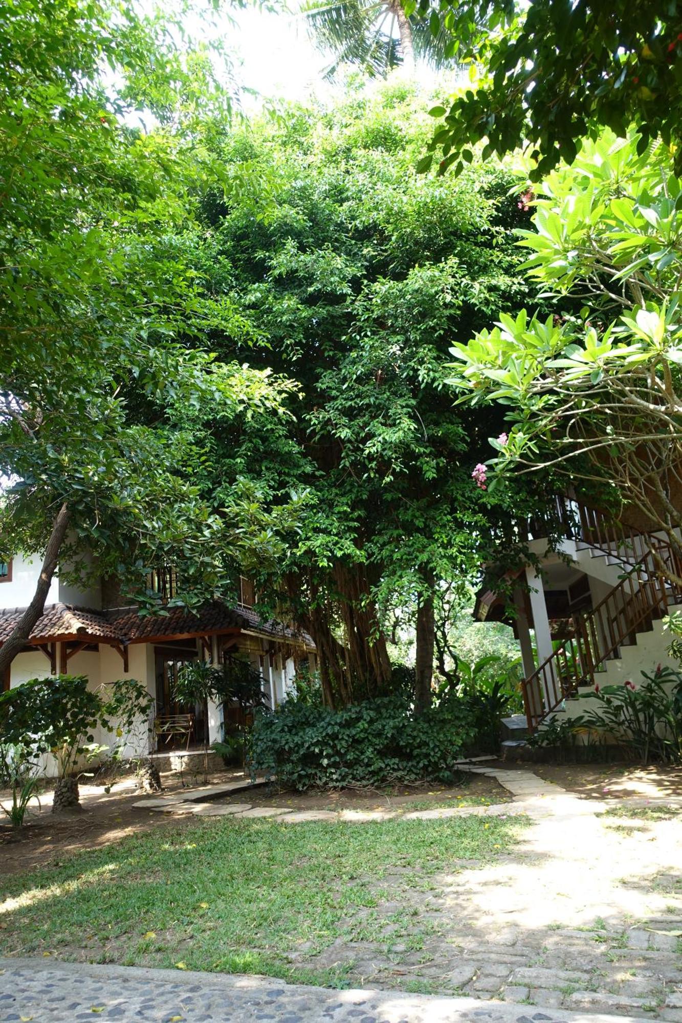 Villa Jati Mangsit Senggigi Buitenkant foto